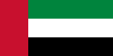 the UAE flag